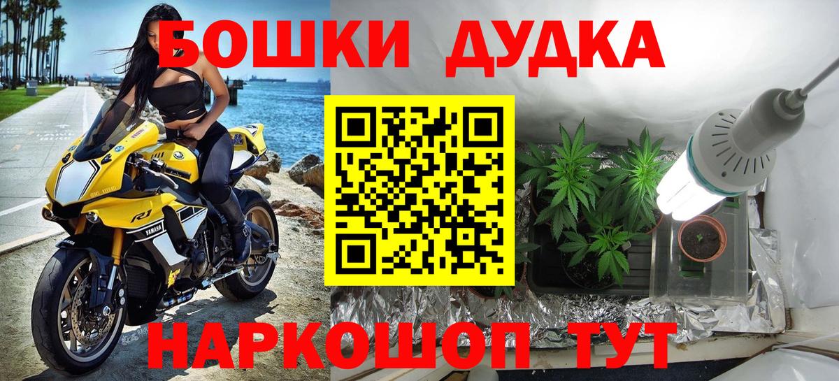 Бошки марихуана семена Шахты